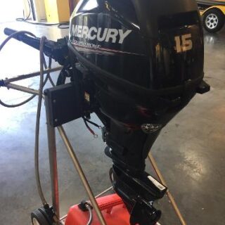 2017 Mercury 15 EH Outboard Motor