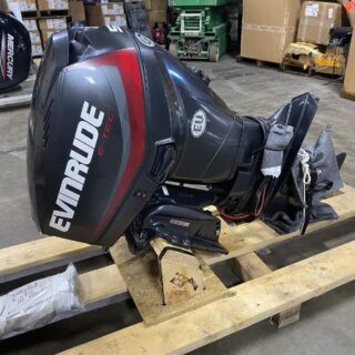2019 Evinrude 50 HP